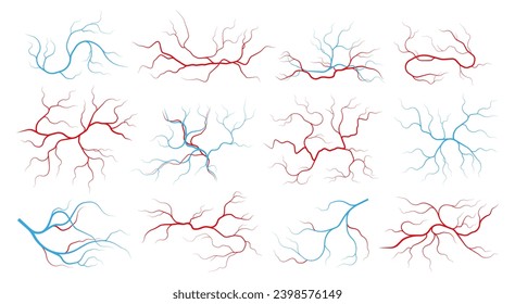 Veins and arteries. Human vascular system and blood vessels, red capillary vessels with stream of blood, healthy cardiovascular system. Vector set of anatomy artery vascular illustration Stock vektor