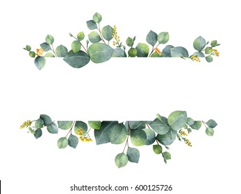Watercolor hand painted green floral banner with silver dollar eucalyptus isolated on white background. Healing Herbs for cards, wedding invitation, posters, save the date or greeting design. Stock Illustration