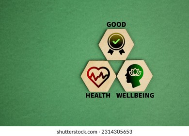 좋은, 건강, 웰빙의 지속가능한 발전의 세 가지 아이콘. 건강복지의 개념 스톡 사진