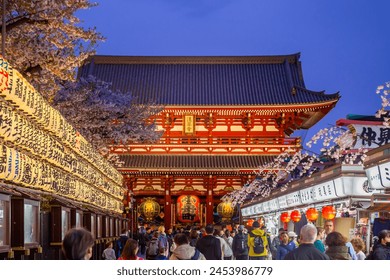 日本東京 – 2024年4月9日 – 浅草・浅草寺前で夜桜が咲く観光客が多い。のエディトリアル写真素材