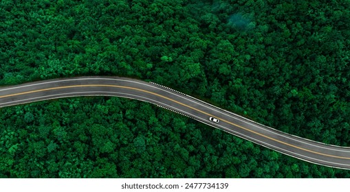 自然林を囲む高架道路である濃い緑の林道を運転する白い電気自動車のトップビュー。電気自動車を使って環境や交通を守るというコンセプト。の写真素材