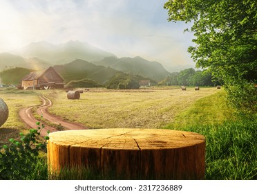 Tree Table wood Podium in farm display for food, perfume, and other products on nature background, Table in a farm with grass, trees, and Sunlight in the morning	
 Foto Stock