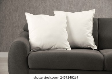 室内ソファの上に2つの柔らかい白い枕の写真素材