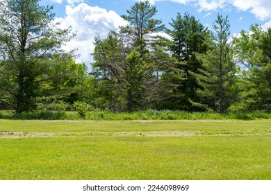 夏の日に緑の芝生と古い道路が走る空き地。の写真素材