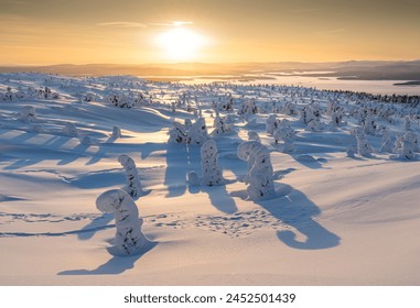 View of snowy winter landscape in Murmansk, Russia. Foto stock