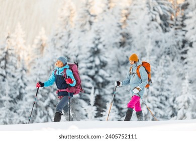 winter activity. Two women walking in snowshoes in the snow, winter hiking, two people in the mountains in winter, hiking equipment Foto stock