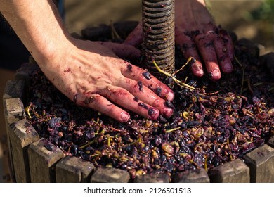 赤いマストとらせん状のネジ付きワインプレス。ワイン製造の伝統的な古い技術。ブドウをフィルタリングする必要があります。の写真素材