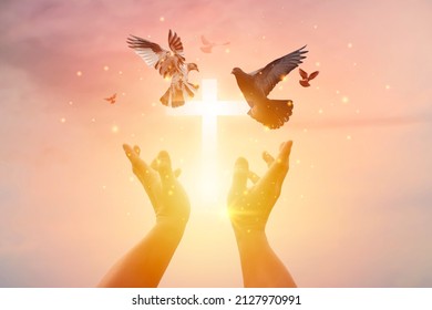 自然の夕日の背景に十字架と飛ぶ鳥で祈る女性、希望のコンセプトの写真素材