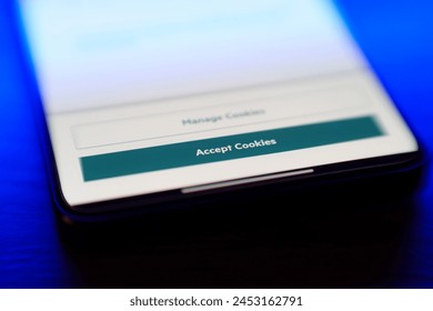 Accept cookies button on internet webpage on smartphone. Internet browsing history data technology security concept. High quality photo – Ảnh có sẵn