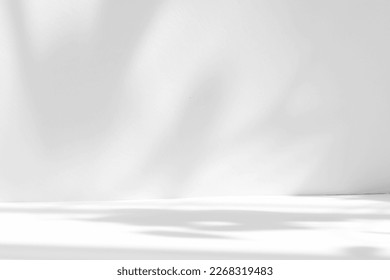 Abstract white studio background for product presentation. Empty room with shadows of window and flowers and palm leaves . 3d room with copy space. Summer concert. Blurred backdrop. Foto Stock