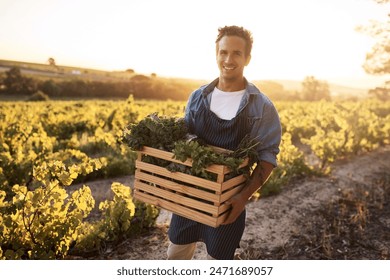 農業、ボックスや農業、成長や持続可能性のための農民の男と屋外のポートレート。生態、食料品市場や農作物のための農場の収穫場にフレア、作業、野菜の木箱の写真素材