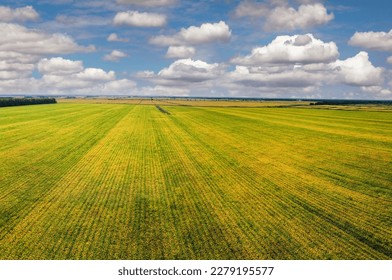 Aerial sanjiang plain autumn crop land