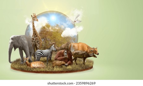 Animals in the wildlife. World Animal Day concept Foto Stock