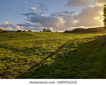 La propriété de la cour d'Ashton au coucher du soleil illuminant l'herbe et l'ombre formées par l'arbre  : photo de stock