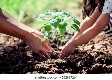 Asian little child girl helping her father to plant the young tree in the garden as save world concept Stock Photo