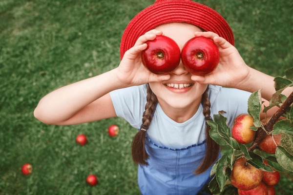 Apple Harvest for Children. Apples for Kids. Red Apple Eyes in Child.  Little Girl Having Fun in Apple Garden Orchard.  Foto stock