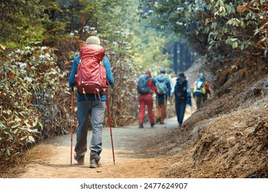 Back view of a group friends hiking with large backpacks to along mountain path through beautiful forest during trek in the Himalayas, Nepal.
 ภาพถ่ายสต็อก