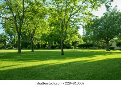 부드러운 아침 햇살에 아름다운 나무가 있는 지역 공원인 공원의 신선한 녹색 잔디의 배경 질감. 호샴 식물원 VIC 호주 텍스트의 공간을 복사합니다. 스톡 사진