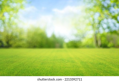 Beautiful blurred background image of spring nature with a neatly trimmed lawn surrounded by trees against a blue sky with clouds on a bright sunny day. Foto Stock