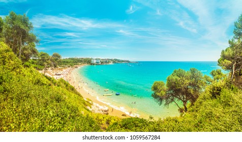 Beautiful tropical sea bay surrounded by green trees and grass : photo de stock