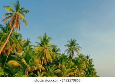 最高の最もエキゾチックな旅行の風景。雄大な夕日のビーチ。ココナッツヤシの木のシルエット、幻想的なカラフルな空。ビーチで熱帯のヤシ。夏休み。 の写真素材