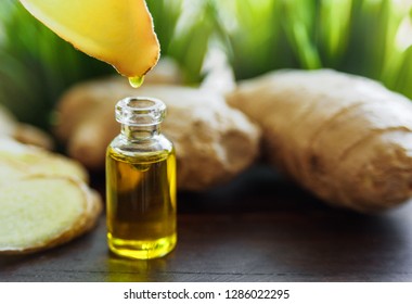 Bottle of ginger oil. Ginger root on background, green leaves 庫存照片