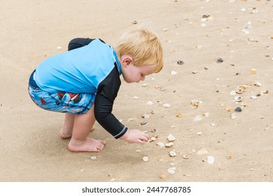 garçon ramassant des coquillages sur la plage de sable, bambin en maillot de bain, Woodgate Beach Queensland : photo de stock