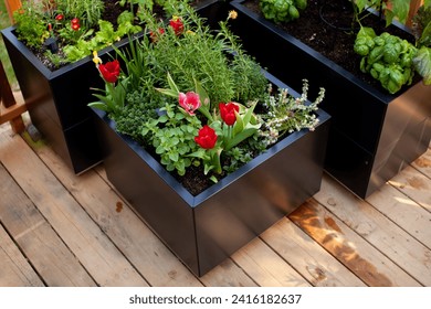 Black metal planter boxes look great on a wooden deck or patio. Growing flowers, herbs and vegetables can be done right out your back door! Stock-foto