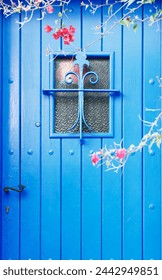 青いドアにガラスの窓が取り付けられており、ブーガンビリアの枝と花びらが付いています。地中海沿岸、カタルーニャ、スペインの漁村の典型的なドア。の写真素材