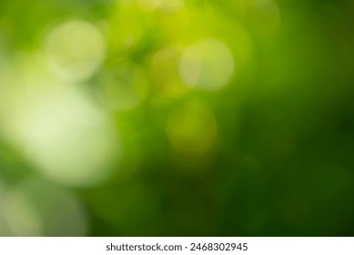 Blurred natural green abstract background. Adlı Stok Fotoğraf