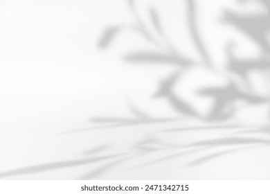 Blurred background for beauty or cosmetics product presentation made with with leaves shadow on white.: stockfoto