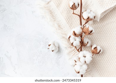 Branch of cotton flowers on soft bath terry towel background top view. Eco and organic bathroom accessory for spa, wellbeing and healthy lifestyle.: stockfoto