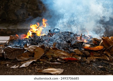Burning piles of dry leaves in garden areas, apart from causing environmental pollution, also helps to reduce the mosquito population, especially during the rainy season: zdjęcie stockowe