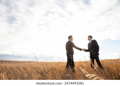 Businessmen in suits shaking hands in sunny rural field: stockfoto