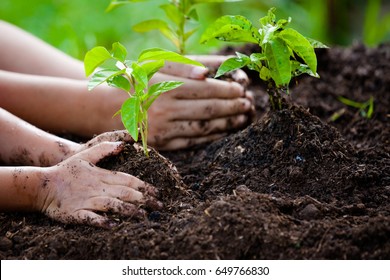 Child and parent hand planting young tree on black soil together as save world concept Stock Photo