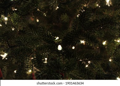 Christmas lights hanging in the tree Stock Photo