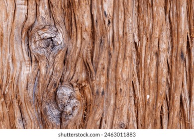 テクスチャーのある風化した木の樹皮の接写。木目や自然の結び目の複雑なディテールが見られます。背景や自然をテーマにした作品、有機的な質感を重視したデザインプロジェクトに最適です。の写真素材