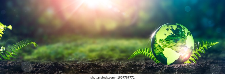 Crystal Earth On Soil In Forest With Ferns And Sunlight - The Environment - Earth Day Concept Stock Photo