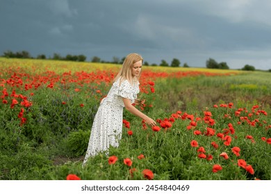 cute feminine blonde girl collects red poppies flowers in the field.
 – Ảnh có sẵn