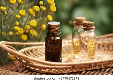 A dark bottle of aromatherapy essential oil with fresh santolina flowers outdoors: stockfoto