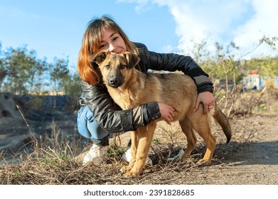 Dog at the shelter. Animal shelter volunteer takes care of dogs. Animal volunteer takes care of homeless animals. ภาพถ่ายสต็อก
