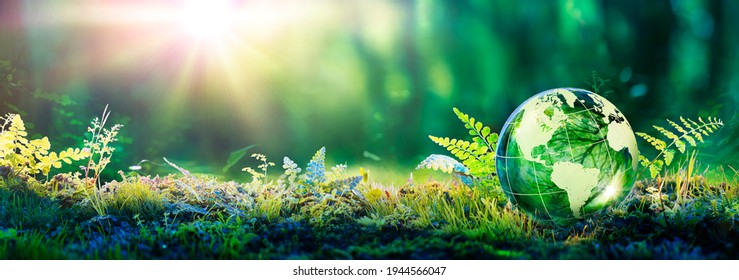 Environment Concept - Globe Glass In Green Forest With Sunlight Stock Photo