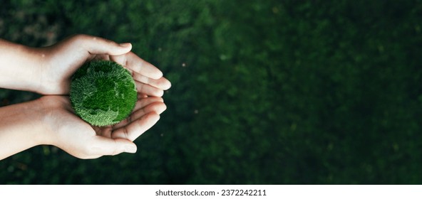 Environment. Green earth ball in hand in green forest background. Ecosystem. Earth Day. Forest conservation CSR ESG NET ZERO: stockfoto