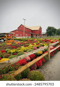 Fall in Ohio Amish Country Arkistovalokuva