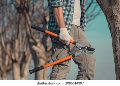 Farmer posing with telescopic ratchet bypass lopper in walnut orchard ready for pruning, selective focus Stock Photo