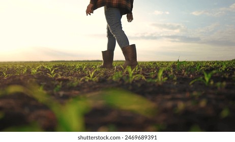 農民が畑でトウモロコシを歩く農業はビジネスコンセプトです。ライフスタイルの農家の接写トウモロコシ畑を歩くゴム製のブーツの脚の写真素材