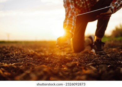 農夫の手が土を集め、作物を育てる前に健康をチェックします。農業、ビジネス、ガーデニングのコンセプト。の写真素材