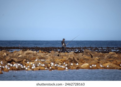 Pescador pescando en las rocas, con mar en primer plano, y mar y algas marinas en el fondo. Foto de stock