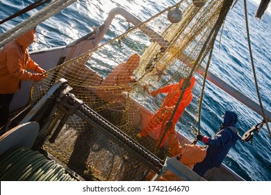 Fishermen choose a trawl with fish on board the ship in Japanese Sea Foto stock
