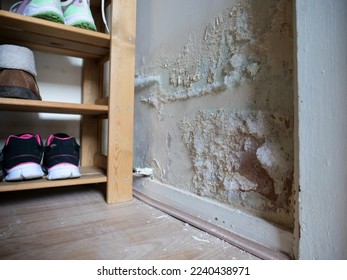 履物収納クローゼットの内側の内壁にふわふわの白いカビ、塗料ひび割れや床に落ちる。の写真素材